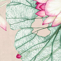 LOTO TRAPUNTA 2 POSTI RASO STAMPATO BLUMARINE - immagine 4