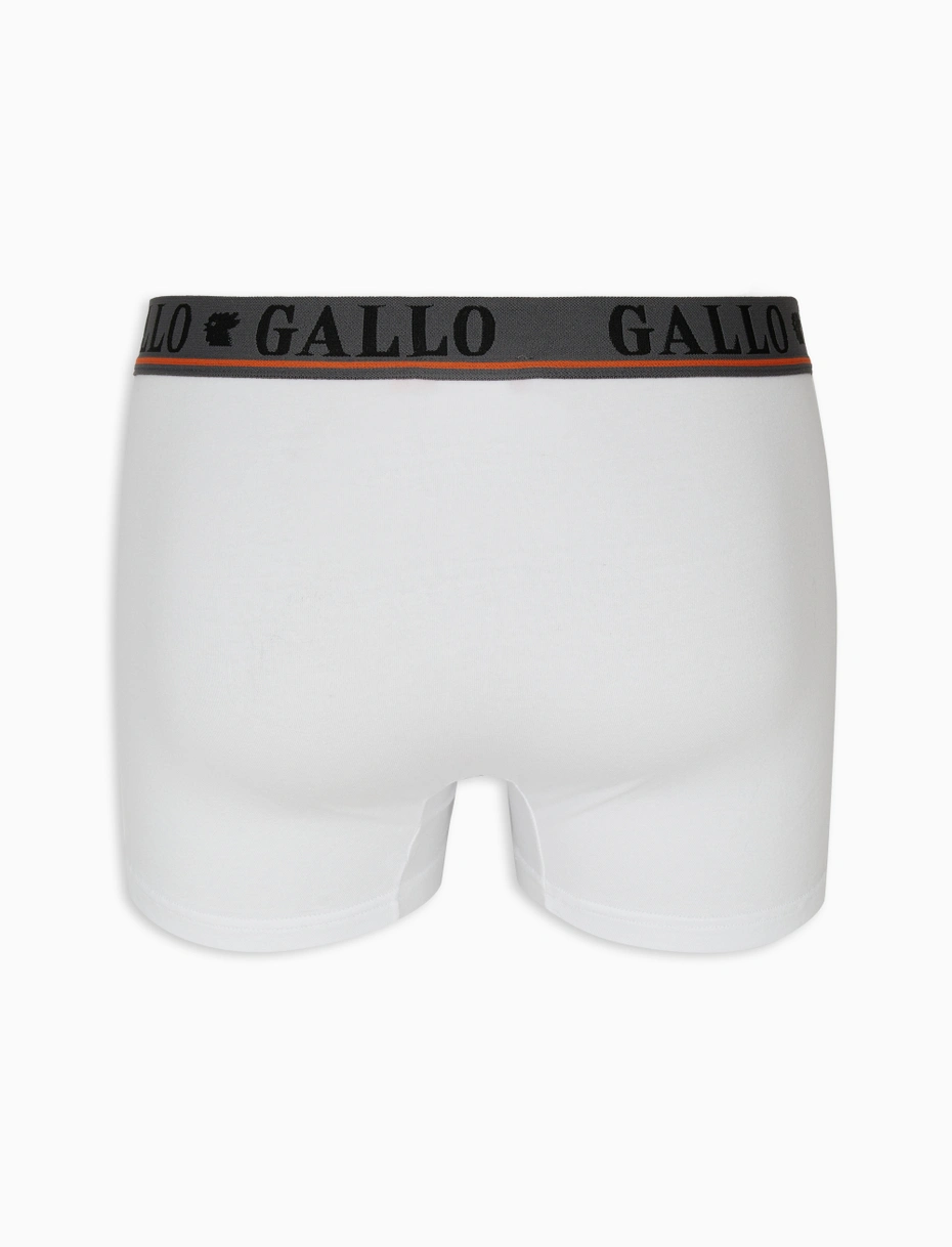 BOXER BASICO COTONE TINTA UNITA GALLO - immagine 4