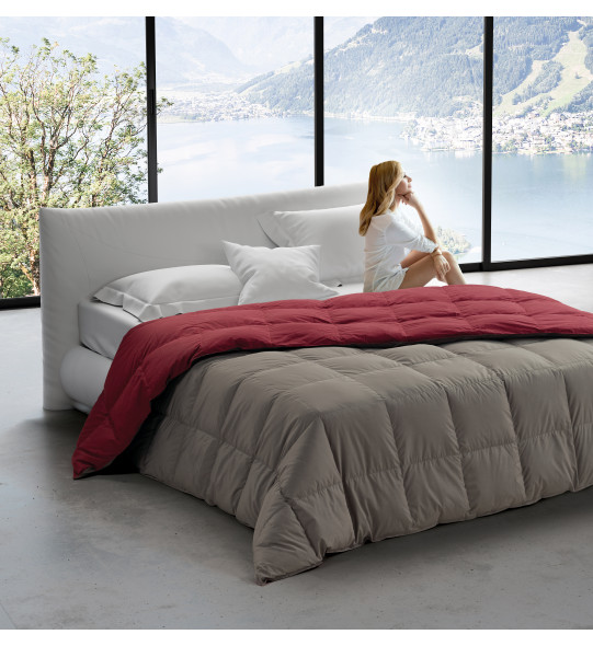 TRAPUNTA CLASSIC UNITO 1 POSTO MOLINA - immagine 2